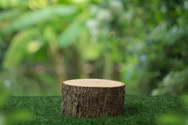 Wood tabletop podium floor in outdoors blur green leaf tropical forest nature background.cosmetic natural product mock up placement pedestal stand display,jungle summer concept.