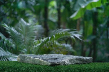 Açık hava tropikal bahçe ormanlarındaki taş masa tezgahı zemininde bulanık yeşil palmiye yaprağı bitki örtüsü arka planda. Doğal ürün yerleştirme tezgahı sergisi, yaz ormanı cennet konsepti.