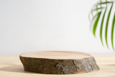 Tahta kütük podyum masasının üstü beyaz uzay arka planında maviye boyanmış taze yeşil yaprak palmiyesi. Güzellik kozmetik doğal ürün minimum gösterim.