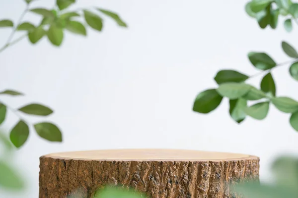 Ahşap podyum sehpası beyaz uzay arka planında bulanık yeşil yaprak bitkisi. Güzellik kozmetik doğal ürün görüntüsü.