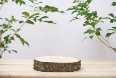 Ahşap podyum sehpası beyaz uzay arka planında bulanık yeşil yaprak bitkisi. Güzellik kozmetik doğal ürün görüntüsü.
