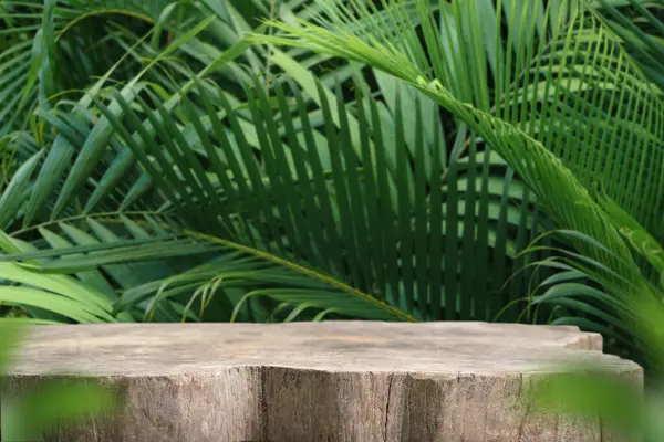 Wood tabletop podium floor in outdoors tropical garden forest blurred green palm leaf plant nature background.Natural product placement pedestal stand display,jungle paradise concept.