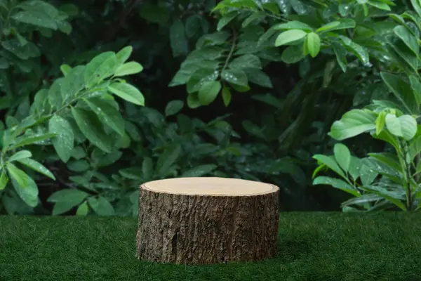 Wood tabletop podium floor in outdoors tropical garden forest blurred green leaf plant nature background.Natural product placement pedestal stand display,jungle paradise concept