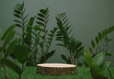 empty table top wood counter podium on grass tropic forest jungle plant blurred dark green background.natural product present placement pedestal promotion display,spring or summer minimal advertising.