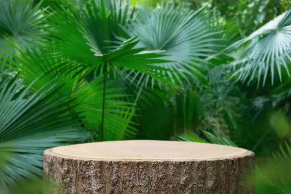 Wood tabletop podium floor in outdoors tropical garden forest blurred green leaf plant nature background.Natural product placement pedestal stand display,jungle paradise concept.