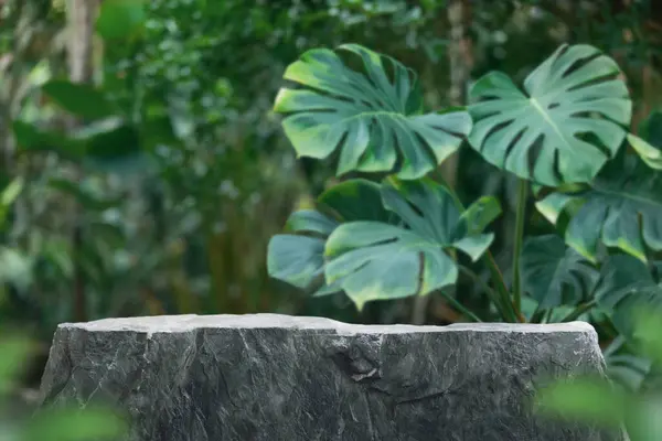 Açık hava tropikal bahçe ormanlarındaki taş masa üstü kürsüsü yeşil yaprak bitkisinin arka planını bulanıklaştırdı. Doğal ürün yerleştirme tezgahı, orman cenneti konsepti..