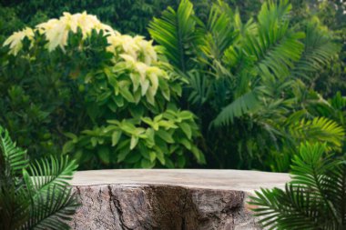 Açık hava tropikal bahçe ormanlarındaki ahşap masa zemininde bulanık yeşil yaprak bitkisi arka planı. Doğal ürün yerleştirme tezgahı sergisi, orman cenneti konsepti..