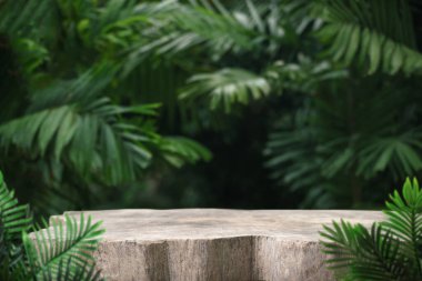 Açık hava tropikal bahçe ormanlarındaki ahşap masa zemininde bulanık yeşil yaprak bitkisi arka planı. Doğal ürün yerleştirme tezgahı sergisi, orman cenneti konsepti..