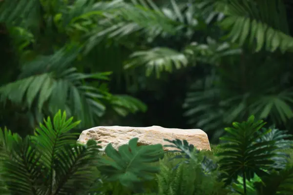 Açık hava tropikal bahçe ormanlarındaki taş podyum masası zemininde yeşil yapraklı bitki arka planı bulanıklaşmıştı. Doğal ürün yerleştirme tezgahı, orman cenneti konsepti..