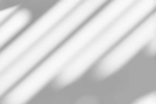 Sombra Gota Orgánica Una Pared Blanca Efecto Superposición Para Foto —  Fotos de Stock