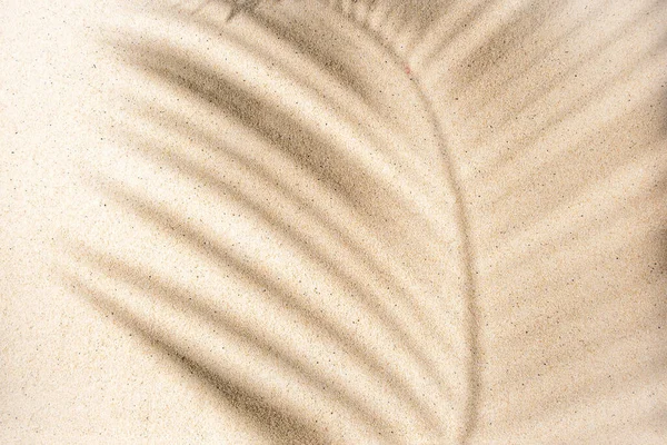 Вид Сверху Тени Пальмовых Ветвей Песчаном Фоне Плоский Лежал Летняя — стоковое фото