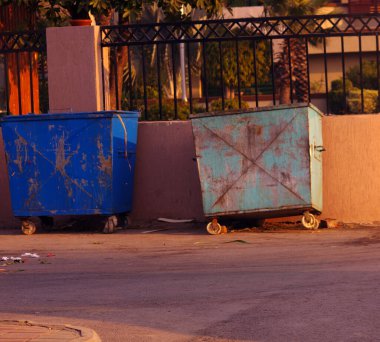 Rain water droplets on flower