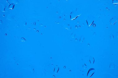 Renkli arka planda su olan çok renkli güzel bir hayat. 