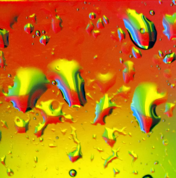 Hermosa Vida Multicolor Con Agua Sobre Fondo Colorido —  Fotos de Stock