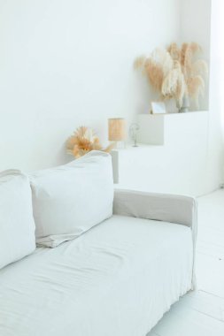 Beyaz tenli, rahat, otlu beyaz bir kanepe. Yüksek kalite fotoğraf