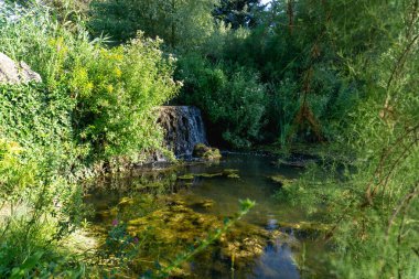 Şelale, yapay gölet, göl