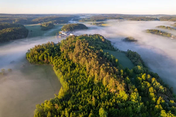 aerial landscape view of the forest from the drone