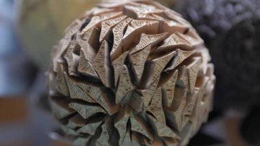 Set of dried orbs with a mixture of sage and cream perfect for decoration at home or Christmas