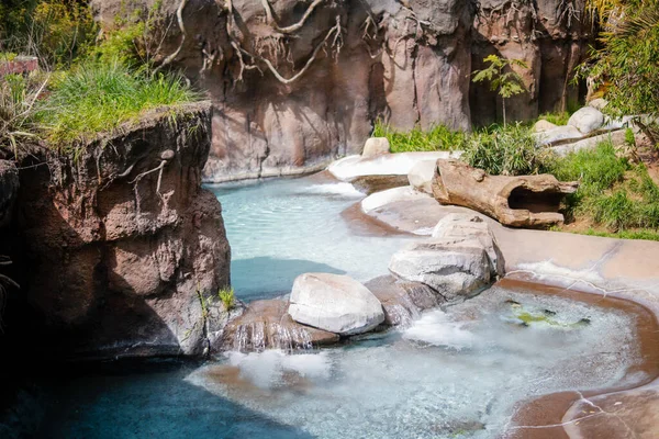 Los Angeles hayvanat bahçesinde şelale. Yüksek kalite fotoğraf