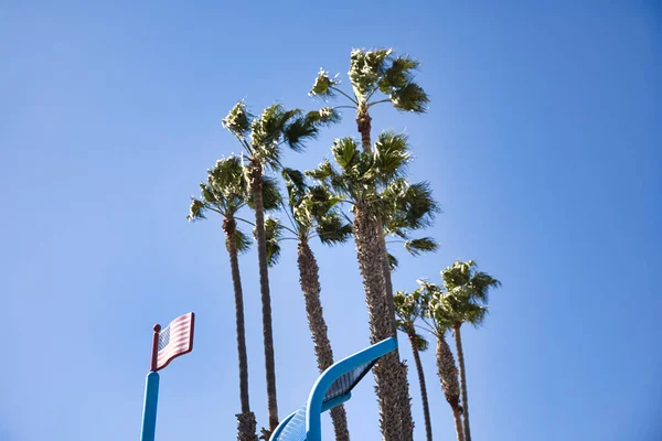 Amerikan bayrağı olan bir plajın yakınındaki palmiye ağaçları. Yüksek kalite fotoğraf