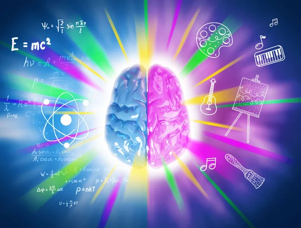 Cérebro Humano Esquerda Inteligência Direita Criatividade Gênio — Fotografia de Stock