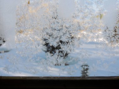 Donmuş cam bir pencerenin yakından çekilmiş bir görüntüsü. Bir kış sabahı, dışarıda küçük bir çalı ve don kaplıydı.