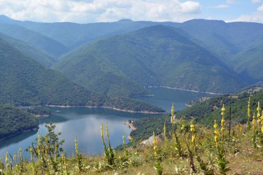 Scenic view of the meanders of Vacha reservoir in Rhodopes Mountain, Devin Municipality, Bulgaria on a sunny day in the summer. Horizontal panoramic view from the hills of Chilingira trail to the meanders of the lake