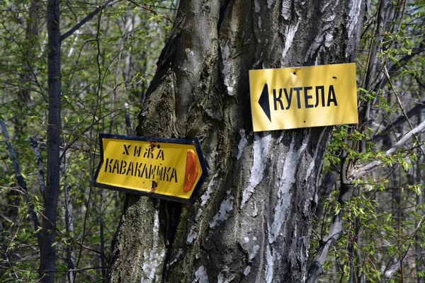 Closeup of two metal plates on a tree with inscription in cyrillic script meaning \