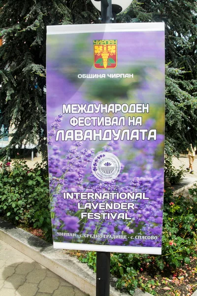 stock image Chirpan, Bulgaria - June 16, 2023: Eating lavender ice cream during the International Lavender Festival - an annual event in the town of Chirpan in Bulgaria