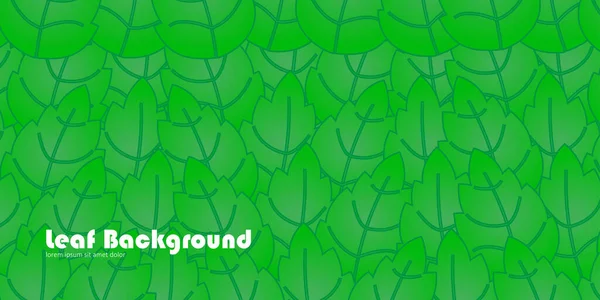 yapraklar yeşil renk arkaplanı