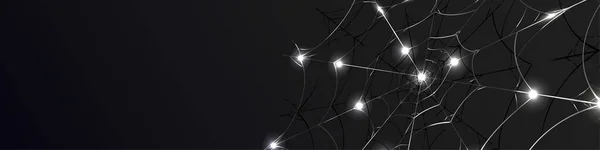 Parlak ışıklı zarif tek renkli örümcek ağı arkaplan pankartı