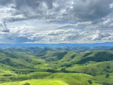 beautiful green forest in the valley of the mountains.