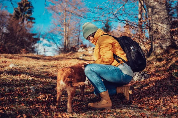 Woman With a Dog Play In The Mountains. Autumn Mood. Traveling With a Pet. Woman And Her Dog Posing Outdoor.