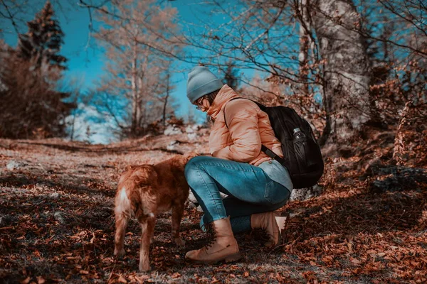 Woman With a Dog Play In The Mountains. Autumn Mood. Traveling With a Pet. Woman And Her Dog Posing Outdoor.