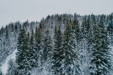 Kış soğuğu. Havadan gelen doğal kış manzarası. Kış zamanı yol ve ormanın hava manzarası. Orman ve kar.
