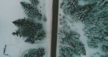 Kış soğuğu. Havadan gelen doğal kış manzarası. Kış zamanı yol ve ormanın hava manzarası. Orman ve kar.