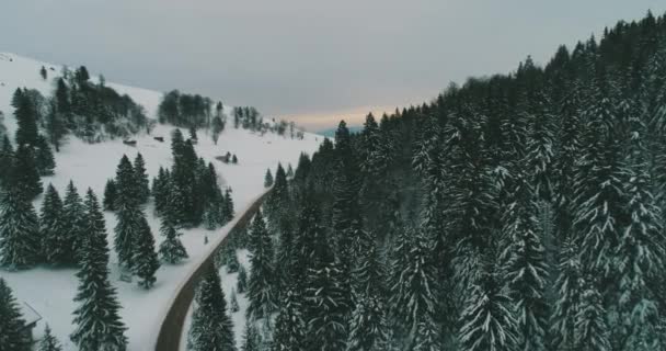 冬の寒さ 空気から自然の冬の風景 冬の間の道路や森の空中ビュー 森と雪 — ストック動画