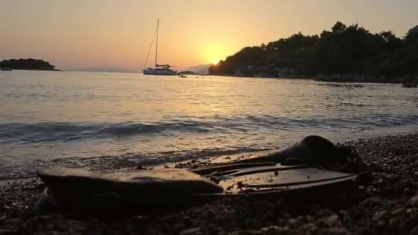 一个迷人的视频捕捉了平静海滨迷人的美景 在沙滩上 闪亮的鱼鳍栖息在沙滩上 沐浴在温暖的日落般的金黄色的怀抱中 — 图库视频影像