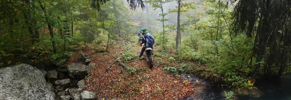 An extreme motorcyclist fearlessly descends a steep, dense forest trail, conquering the rugged, off-road path with thrilling excitement and wild adventure.
