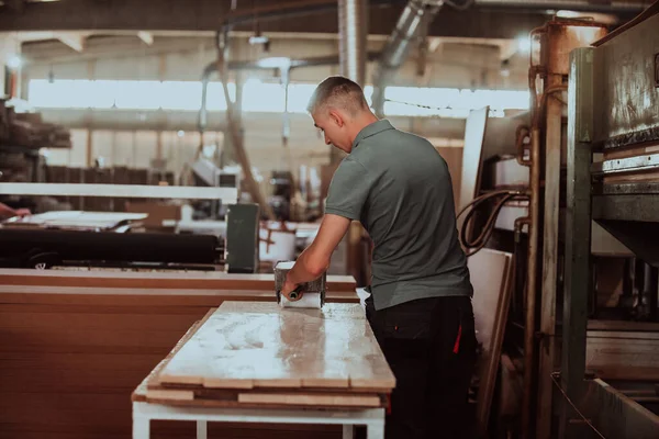A dedicated worker in the woodworking industry meticulously paints doors, adding the final touches to the production process and exemplifying skilled craftsmanship and attention to detail in the