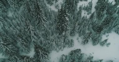 Kış soğuğu. Havadan gelen doğal kış manzarası. Kış zamanı yol ve ormanın hava manzarası. Orman ve kar.