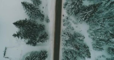 Kış soğuğu. Havadan gelen doğal kış manzarası. Kış zamanı yol ve ormanın hava manzarası. Orman ve kar.
