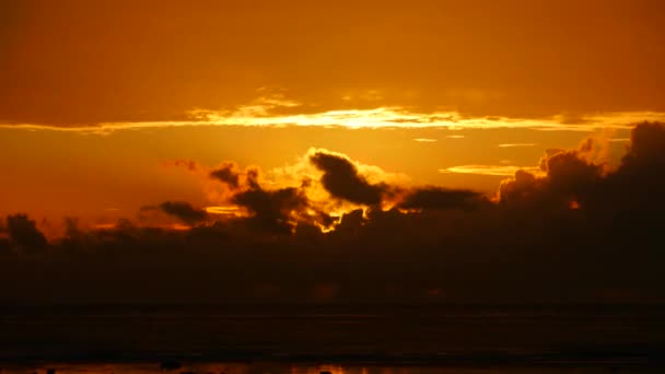 Кинематографическое Время Восхода Солнца Кении Пляже Высококачественные Кадры — стоковое видео