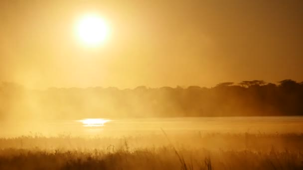 Filmowy Czas Upływu Wschodu Słońca Zambii Nad Jeziorem Wysokiej Jakości — Wideo stockowe