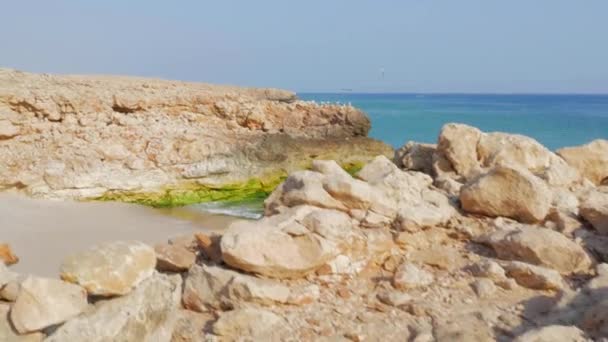 Кінематичний Журавель Знятий Порожнього Пляжу Омані Кадри Високої Якості — стокове відео
