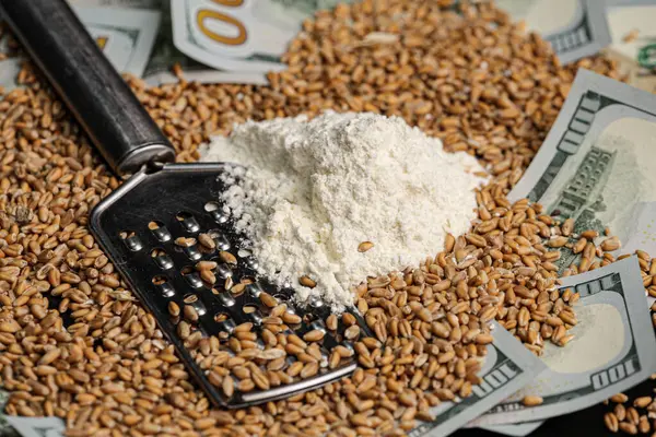 Grain deal, yield concept. American dollars, a small globe next to a scattered grain of wheat. The economic crisis during the hostilities. The threat of hunger. High quality photo