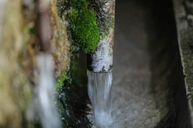 Doğada çok fazla su akan ve çok güçlü olan bir pınarın resmi. Bahar çok eski ve üzerinde yeşil yosun var. Yüksek kalite fotoğraf