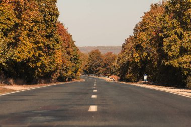 Road in autumn forest at sunset. Beautiful empty mountain roadway, trees with red and orange foliage. Colorful landscape with road through the woods in fall. Travel. Road trip. Transportation. Season