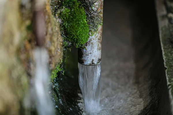 picture of a spring in nature that flows a lot of water and is very strong. The spring is very old and has green moss on it. High quality photo