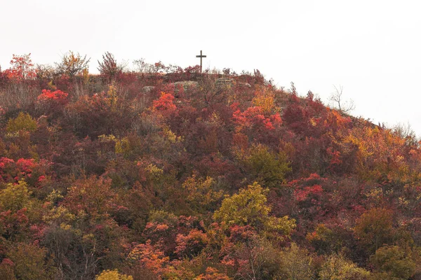 A very beautiful picture with an autumn landscape, picture with many trees of different colors and with a cross at the top of the mountain. High quality photo